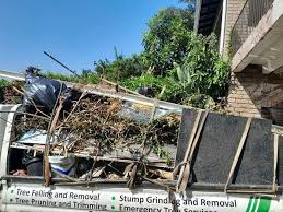 Best Estate Cleanout  in Mission Bend, TX
